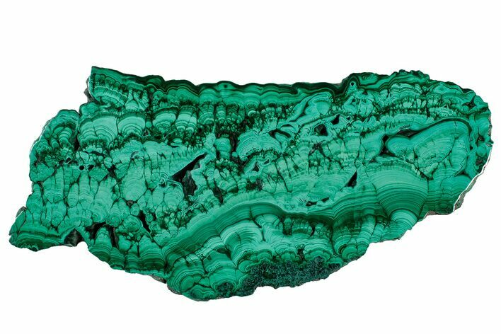 Flowery Polished Malachite Slab - DR Congo #302474